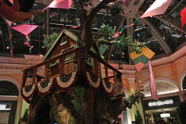 拉斯维加斯二日,佛罗里达Tampa三日,华盛顿二