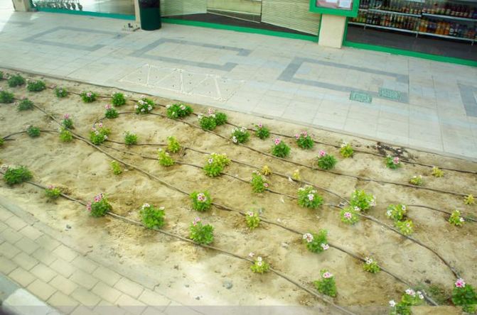 扬州大哥中东行之--迪拜旅游,超万元人民币花费