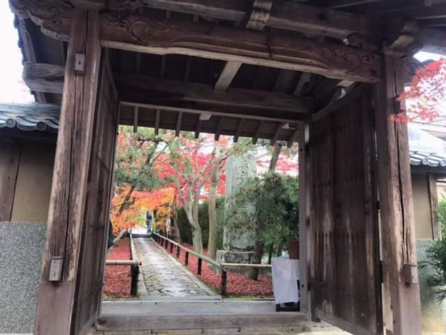 京都光悦寺攻略 京都光悦寺门票 攻略 地址 图片 门票价格 携程攻略