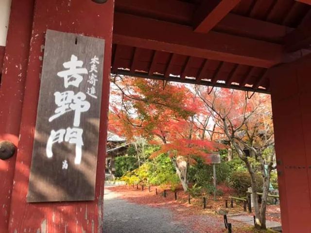 京都光悦寺攻略 京都光悦寺门票 攻略 地址 图片 门票价格 携程攻略