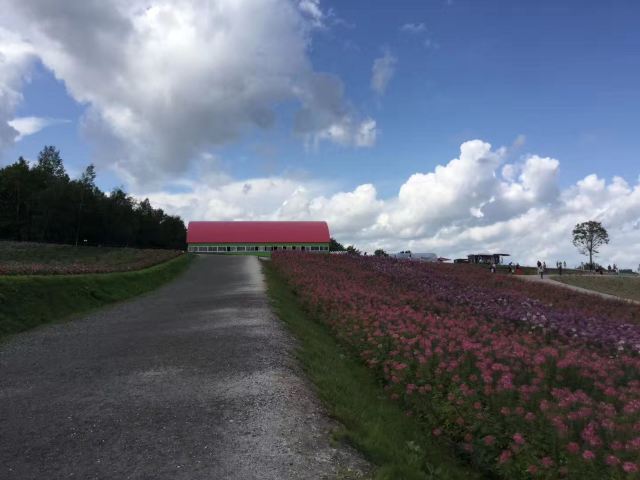 富良野深山峠展望台攻略 富良野深山峠展望台门票 攻略 地址 图片 门票价格 携程攻略