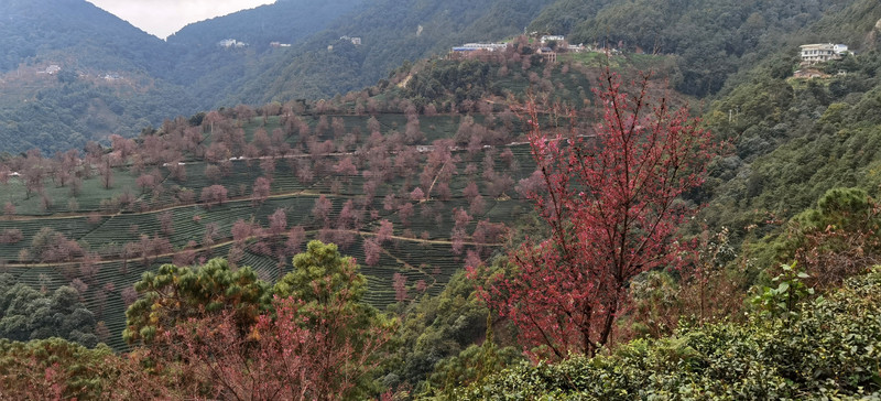 昆明旅游网
