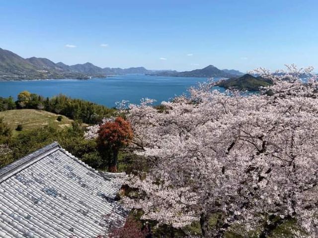 今治市開山公園攻略 今治市開山公園门票 游玩攻略 地址 图片 门票价格 携程攻略