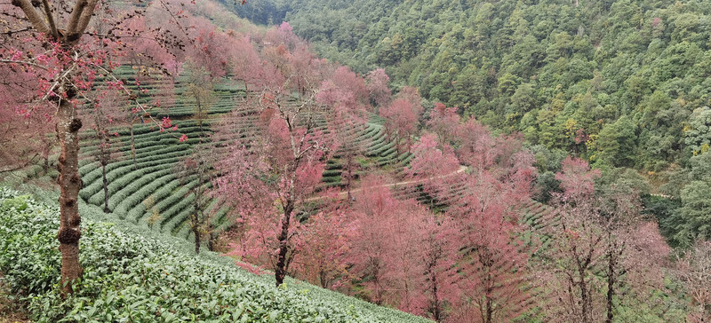 昆明旅游网