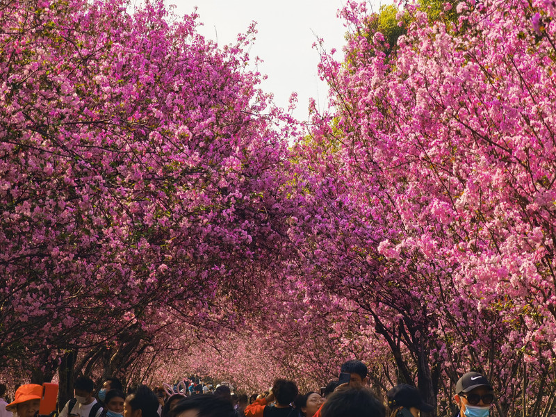 昆明旅游网