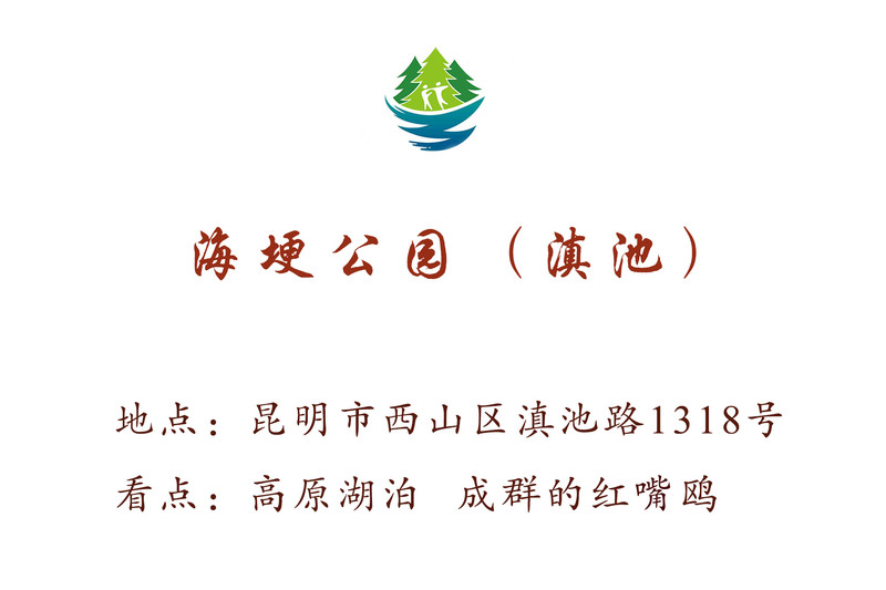 昆明旅游网