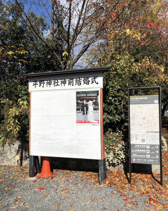 京都本丸御殿攻略 京都本丸御殿门票 攻略 地址 图片 门票价格 携程攻略