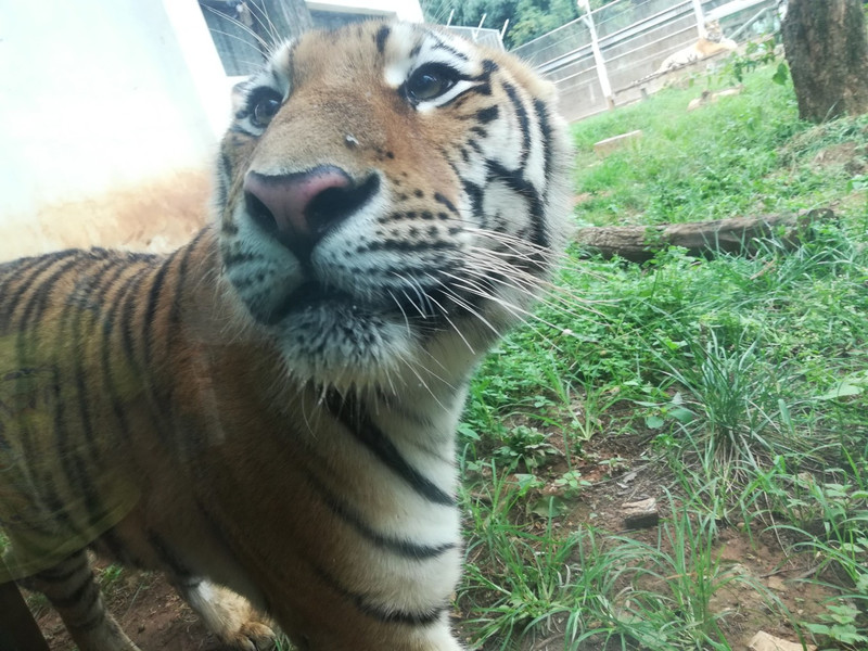 昆明旅游网