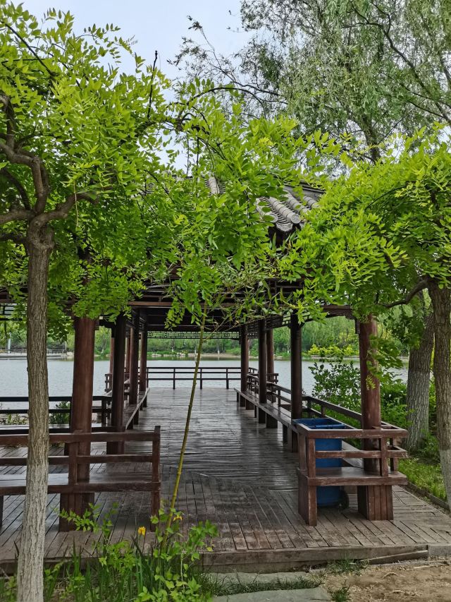 津北森林公园 携程网