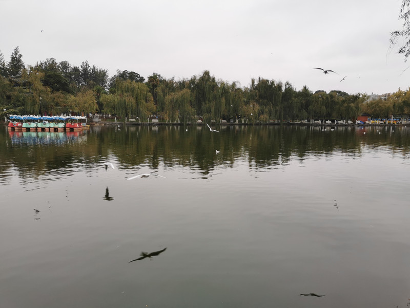 昆明旅游网