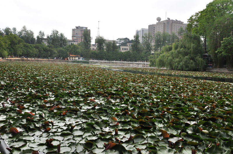 昆明旅游网