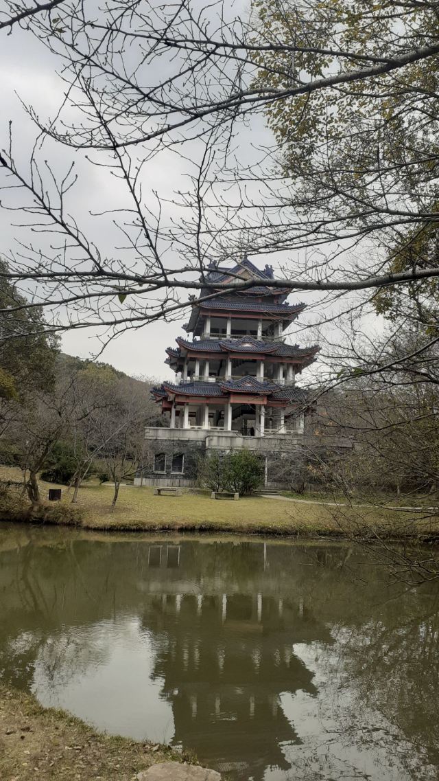 中日樱花友谊林