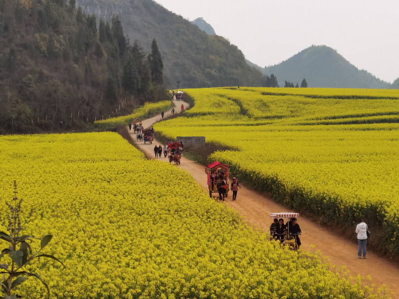 昆明旅游网