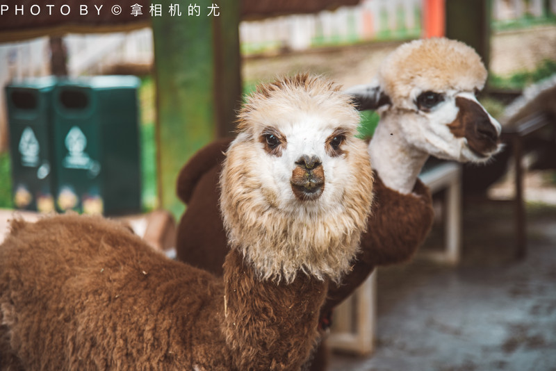 昆明旅游网