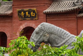洛阳龙门+白马寺一日游【专车门票I畅游入园I上门接I不赶早】【[包车游]一单一团，无陌生人，洛阳市区上门接送】