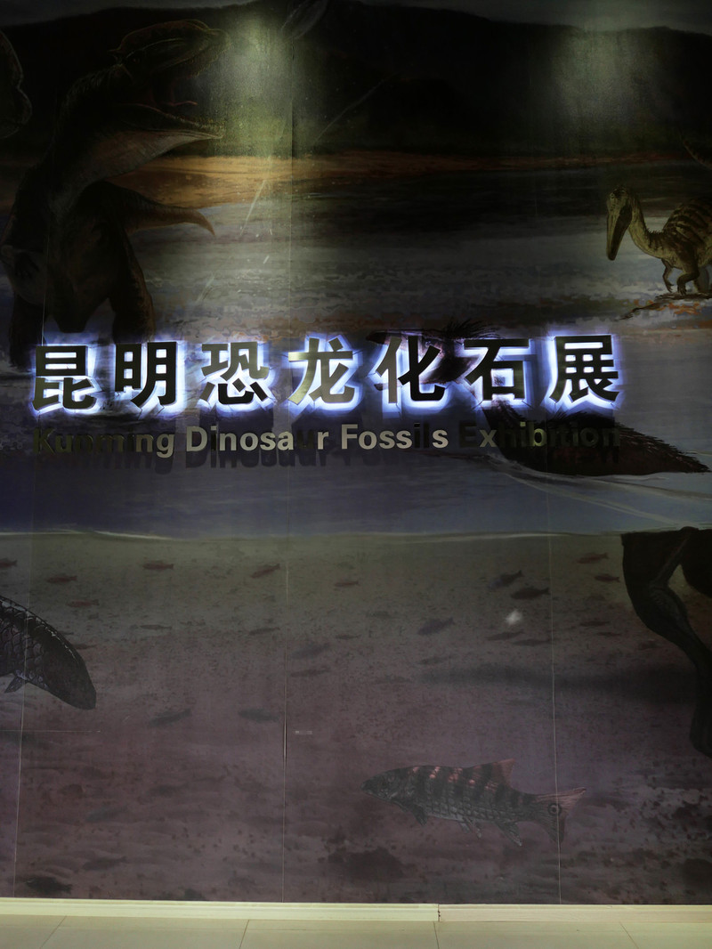 昆明旅游网