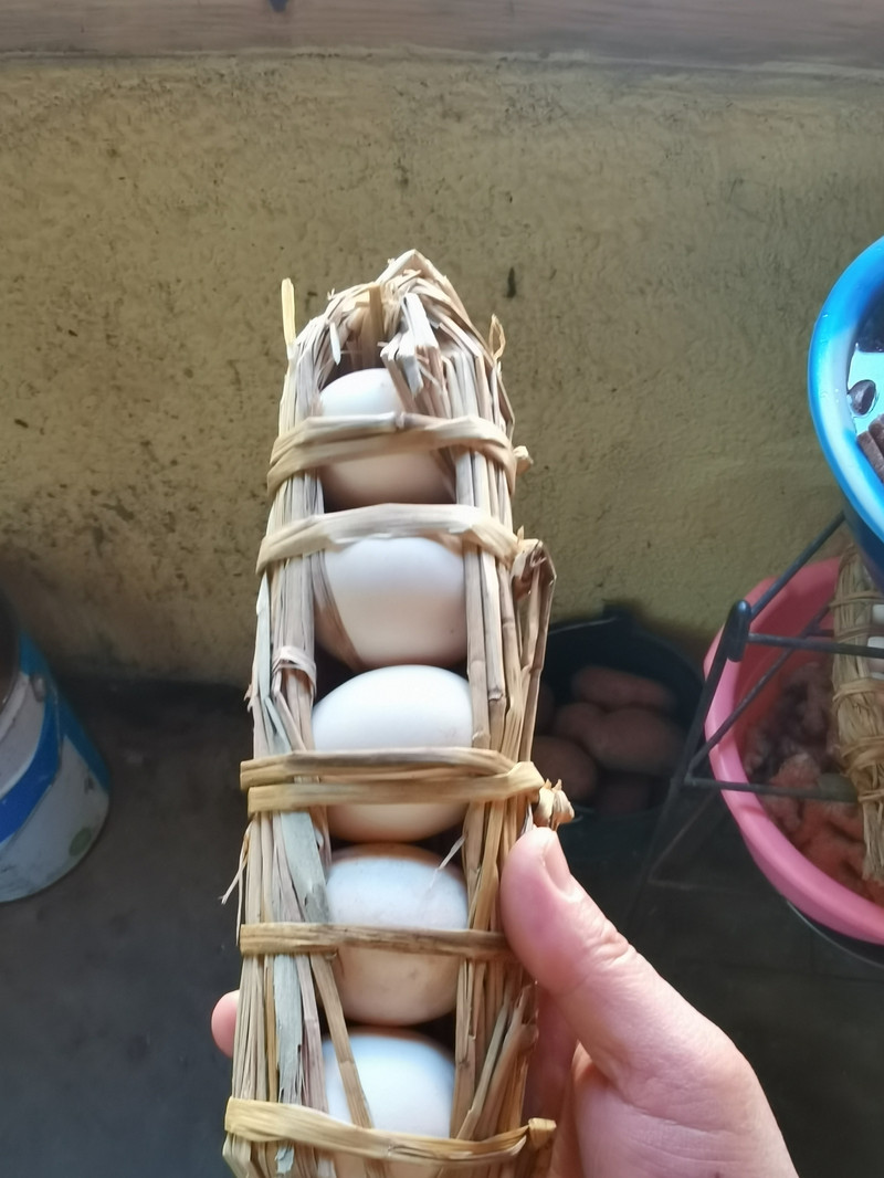 昆明旅游网
