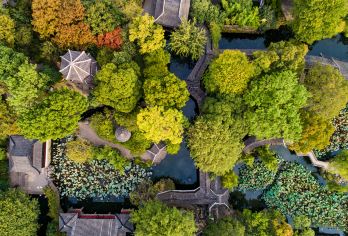 拙政园+寒山寺+虎丘+平江路【拙政园+寒山寺+虎丘+平江路】