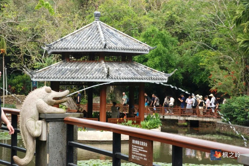 海南印象：亚龙湾的热带森林公园 - 三亚游记攻略