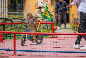 安吉奇幻嘉乐比、探寻仙侠世界特价一日【提倡亲子和安全游乐的儿童游乐理念】