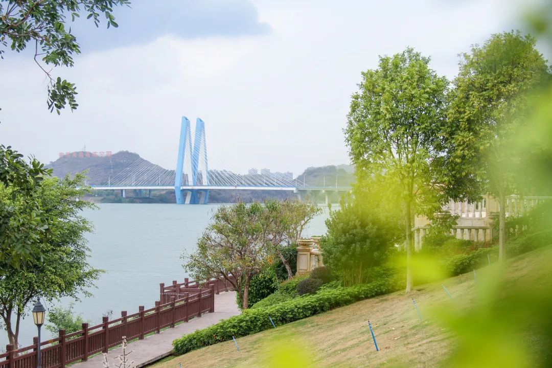 大藤峡风景区