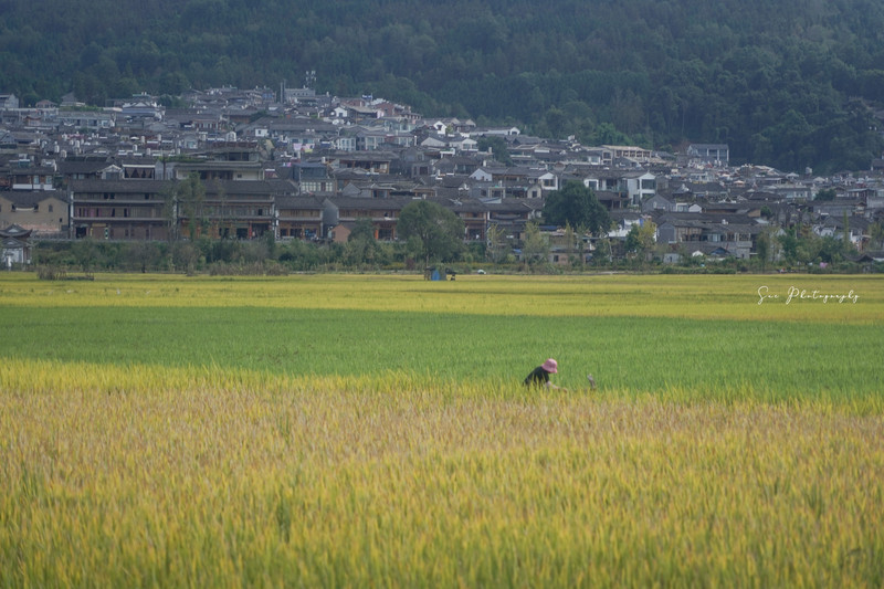 昆明旅游网