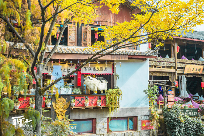 昆明旅游网