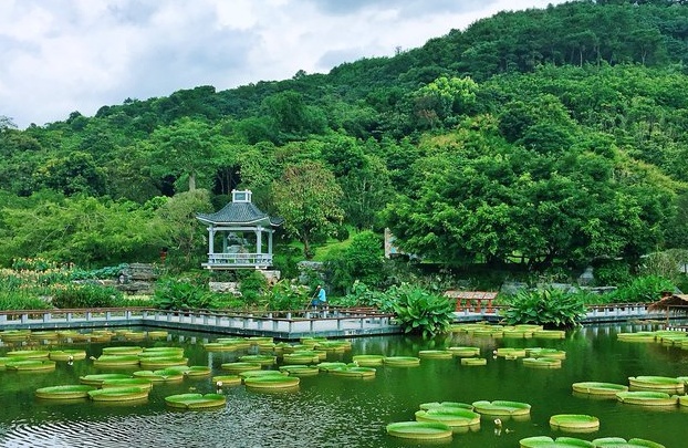 青秀山风景区