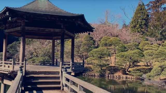 成田市成田山公园攻略 成田市成田山公园门票 攻略 地址 图片 门票价格 携程攻略