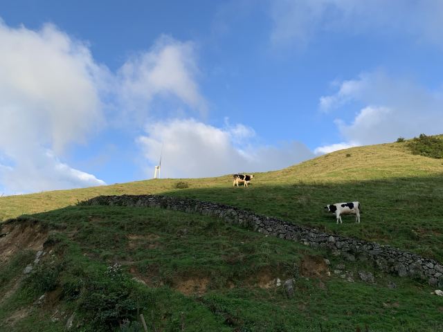 城步南山牧場攻略,城步南山牧場門票/遊玩攻略/地址/圖片/門票價格