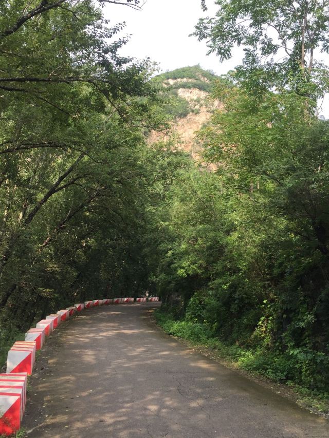 石龙山森林公园