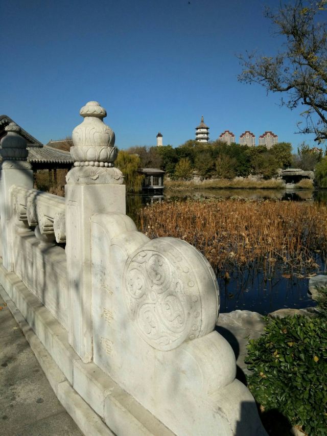 天津北宁公园攻略,天津北宁公园门票/游玩攻略/地址/图片/门票价格