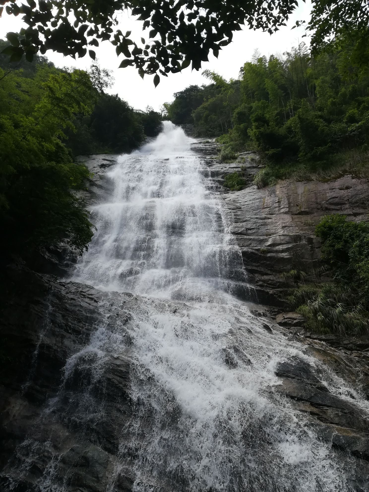 白水仙风景区