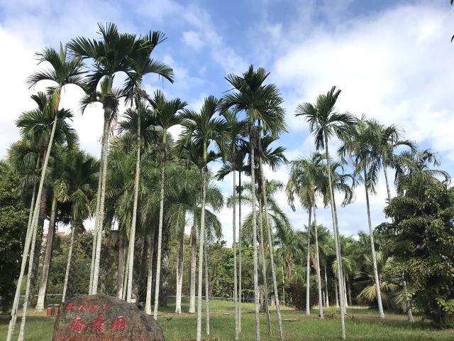 景洪西双版纳南药园景区游玩攻略简介,景洪西双版纳南药