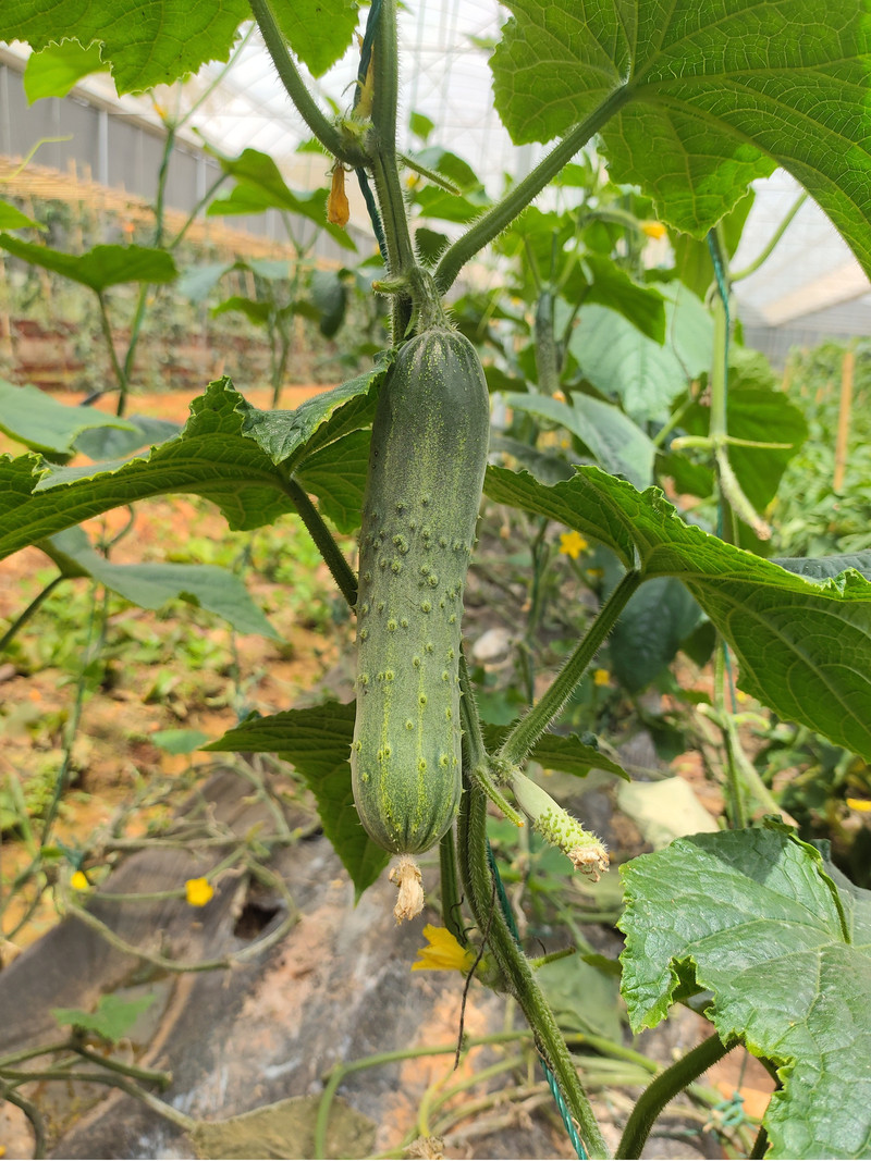 昆明旅游网