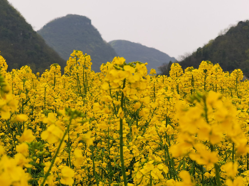 昆明旅游网