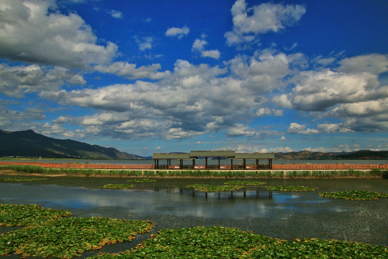 石屏异龙湖国家湿地公园