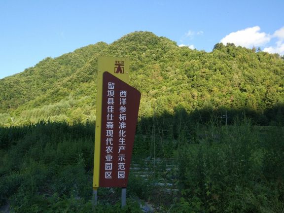 西洋参示范观光园