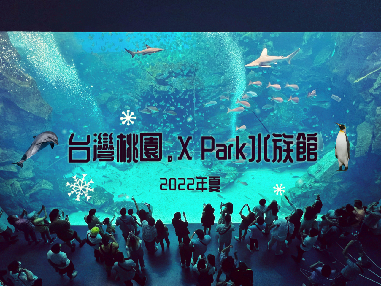 台灣桃園_【X Park水族館】現代化的日式水族館～
