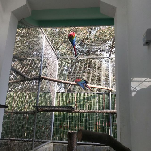 成都動物園