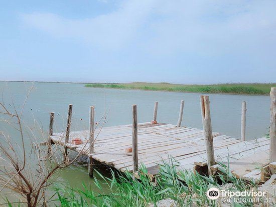 相思湖景区