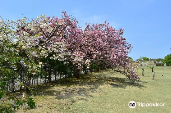 富山富山県中央植物園 富山富山県中央植物園旅遊攻略簡介當地玩樂門票酒店一覽 永安旅遊