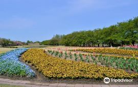 富山富山县中央植物园天气预报 历史气温 旅游指数 富山县中央植物园一周天气预报 携程攻略