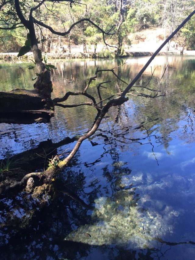 剑川白龙潭攻略,剑川白龙潭门票/游玩攻略/地址/图片/门票价格【携程