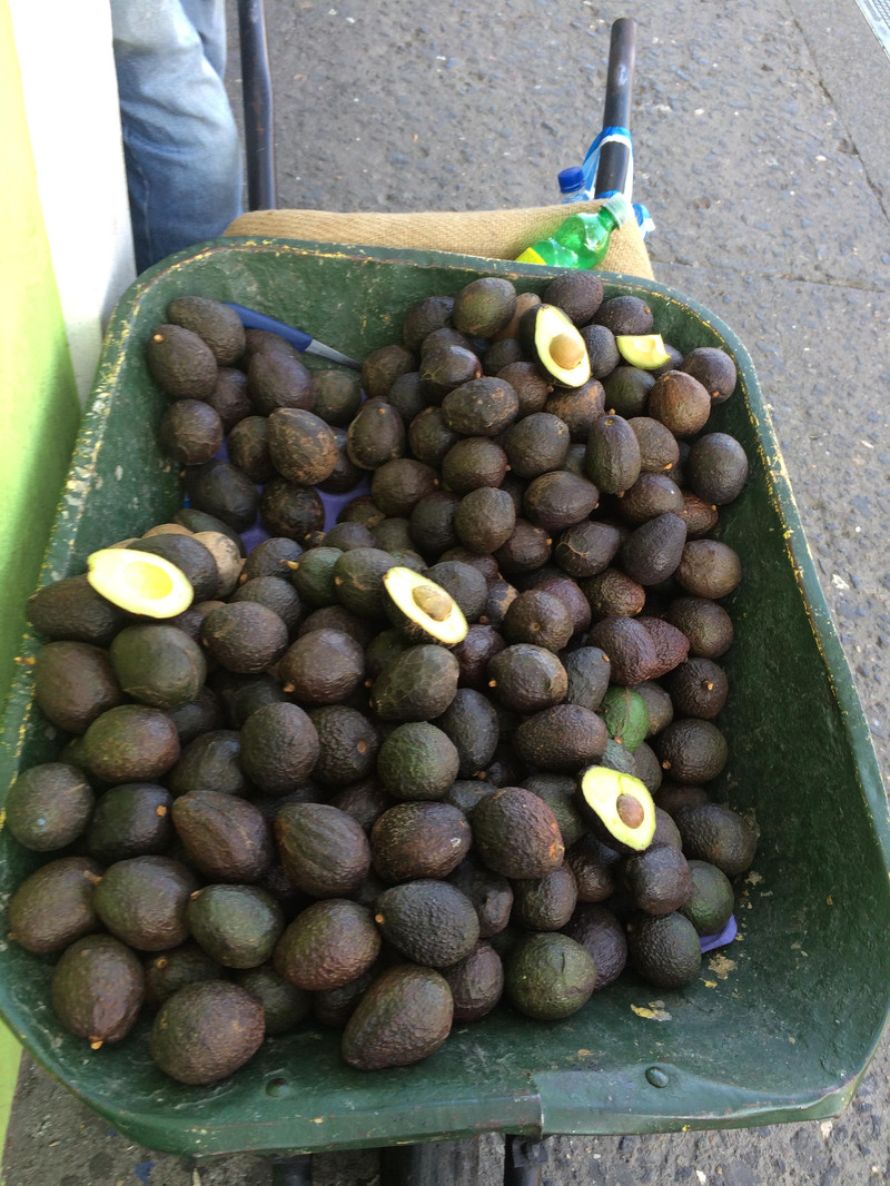 哥斯达黎加--致随风而去的Stephen 小D - 哥斯