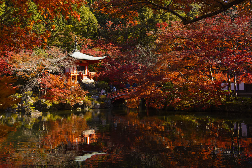日本京都大阪五日赏红叶 第三天 浏览醍醐寺 东福寺 京都游记攻略 携程攻略