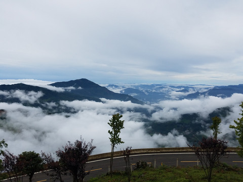 昆明轿子山游记 - 昆明游记攻略【携程攻略】