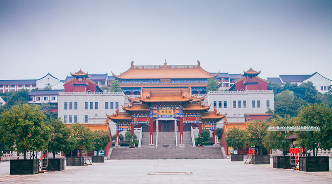 【故里绍兴,轻忆乡愁】咱家桂花香,正浓