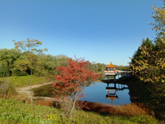 金山公园