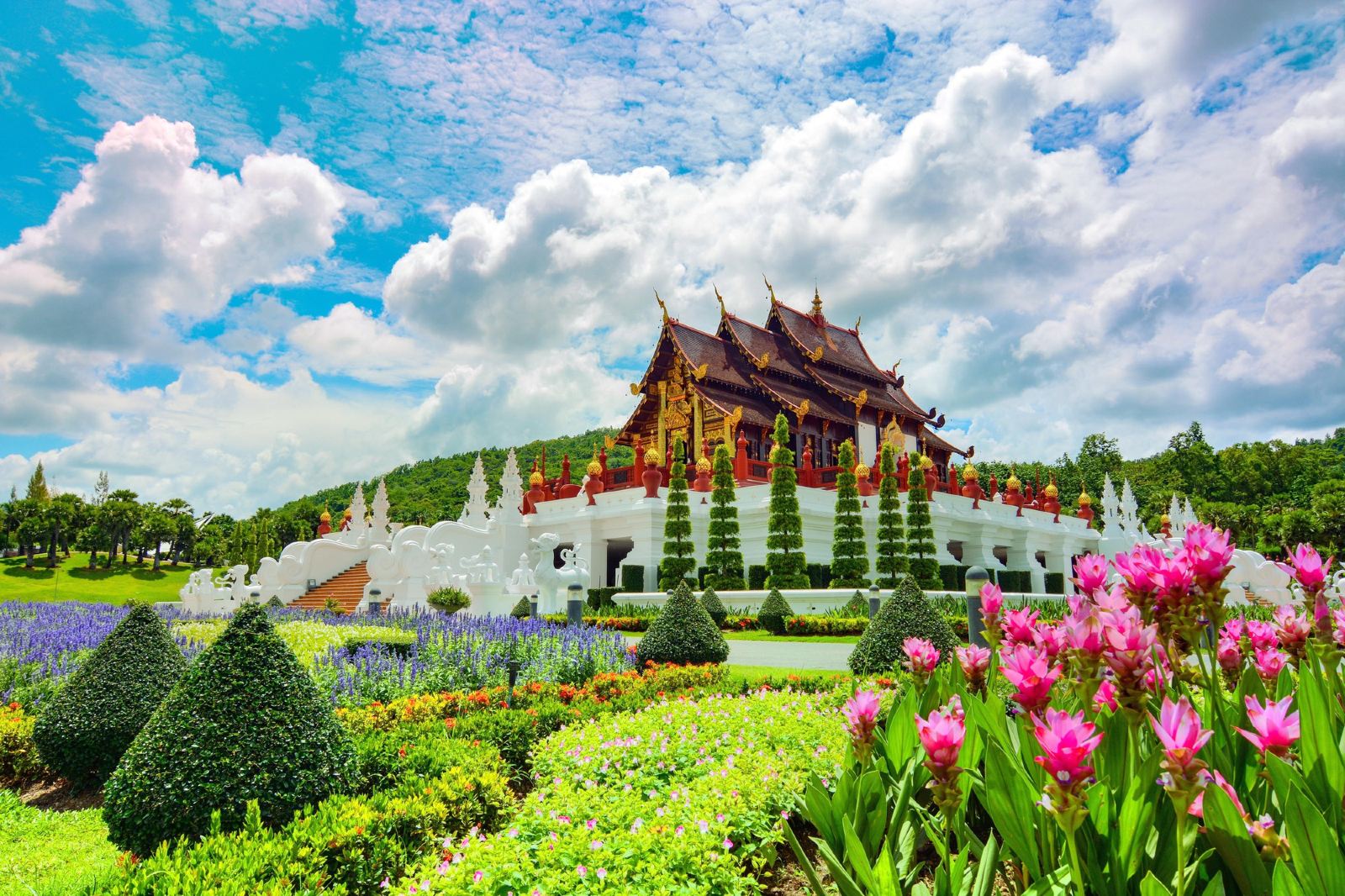 泰国清迈 拉查帕皇家花园 อุทยานหลวงราชพฤกษ์